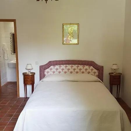 Elegant & Stylish B& B B&B